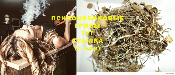 твердый Заводоуковск