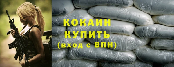 твердый Заводоуковск